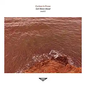 Pochette de l'album de CARBON IN PROSE "Salt Water Blood", une photo orangée de la mer autour d'un rocher