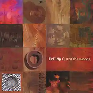 Pochette de l'album "Out of the Woods" Par l'artiste Dr Didg