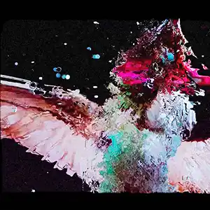 Pochette de l'album "Ne'ese" de DULLMEA