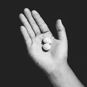 Pochette de l'album de ENSEMBLE 0 "Umarete Wa Mita Keredo", une photo en noir et blanc d'une main tenant deux oeufs de caille