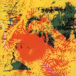Pochette de l'album "YPGPN (Young Person’s Guide to Phill Niblock)" par l'artiste Phill Niblock