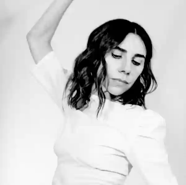Artiste PJ Harvey