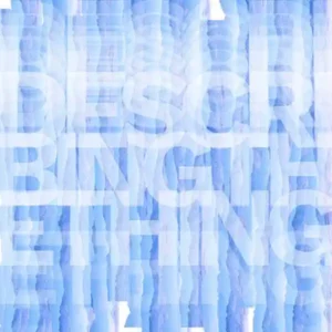 Pochette de l'album "Describing The Thing" par SHANE ASPEGREN : titre en blanc et bleu