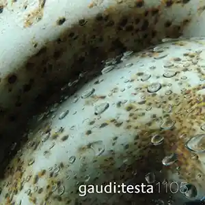 Pochette de l'album "Continuum" par les artistes Antonio Testa et Gaudi, des gouttes d'eau sur un objet blanc avec des trous