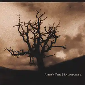 Pochette de l'album "Radioforest" par l'artiste Antonio Testa, un arbre en contrejour devant un ciel nuageux marron