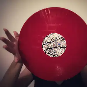 Vinyle de l'album "Derin Derin" par Baba Zula