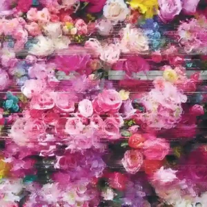 Pochette de l'album de Bersarin Quartett "System", des fleurs rose en gros plan