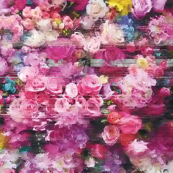 Pochette de l'album de Bersarin Quartett "System", des fleurs rose en gros plan