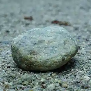 Pochette de l'album "Le Caillou" par l'artiste Danielle Palardy-Roger