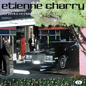 Pochette de l'album "Aube radieuse, serpents en flammes" par l'artiste Etienne Charry
