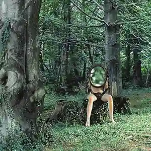 Pochette de l'album "Schemen" de Kammerflimmer Kollektief