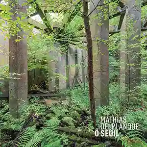 Pochette de l'album "Ö Seuil" par l'artiste nantais Mathias Delplanque