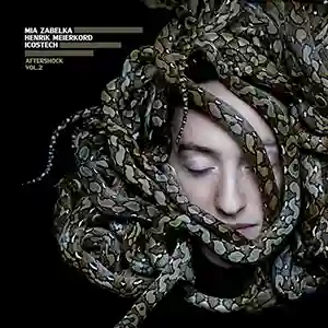 Pochette de l'album "Aftershock Vol.2" par les artistes Mia Zabelka, Henrik Meierkord et Icos Tech