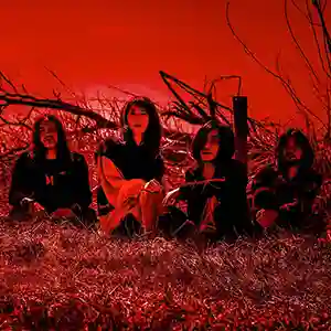 Photo du groupe japonais Mono