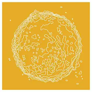 Pochette de l'album de PAULIUS KILBAUSKAS "Elements", un dessin d'une cellule blanche sur fond jaune orangé