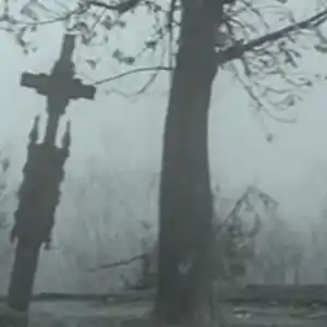 Photo d'un arbre dans un cimetière lituanien