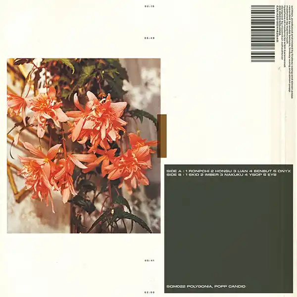Pochette de l'album de POLYGONIA/POPP "Candid", deux carrés en quinconce, un avec des fleurs rouges, l'autre vert foncé