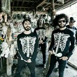 Photo du groupe mexicain Sonido Gallo Negro
