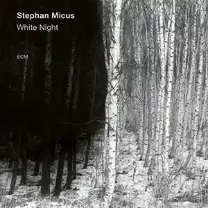 Pochette de l'album "White Night" par Stephan Micus