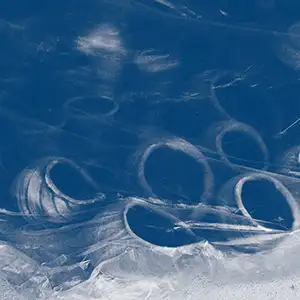 Pochette de l'album "The Shell That Speaks The Sea" de David TOOP & Lawrence ENGLISH