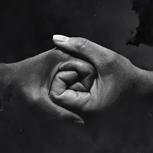 Pochette de l'album (The) Rooted Sky du groupe WAVE ARISING