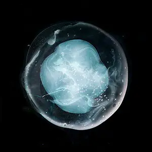 Pochette de l'album "The Undivided Five" du groupe A Winged Victory for The Sullen