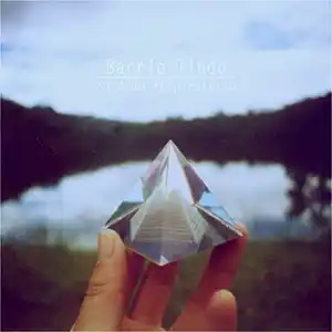 Pochette de l'album "Sistema Respiratorio" par l'artiste Barrio Lindo