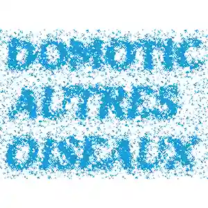 Pochette de l'album "Autres Oiseaux" par l'artiste Domotic (Stéphane Laporte)