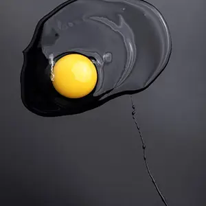 Pochette de l'album "Maison Moderne" par le groupe Dream Baby avec Béatrice Temple, Dominique Quéffelec & Charles Eric Charrier