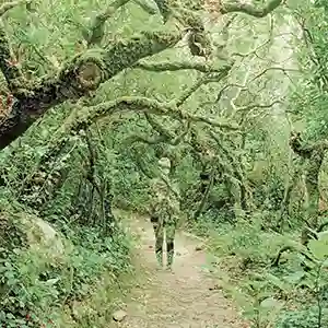 Pochette de l'EP "Enclosure " par l'artiste Flako (Naturio Flako)