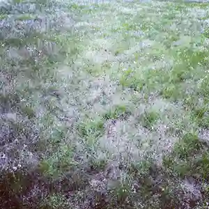 Pochette de l'album "Tense Silence" par le groupe Gallery Six