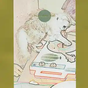 Pochette de l'album "Peek-Ara-Boo" par le groupe japonais Hoahio