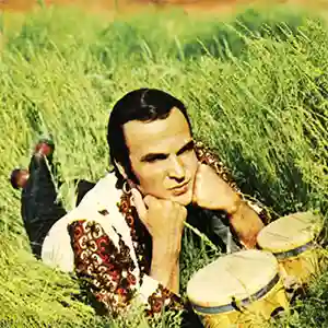 Photo de l'artiste turc Metin Ersoy allongé dans l'herbe avec ses instruments