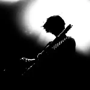 Photo de l'artiste Speaker Gain Teardrop en concert