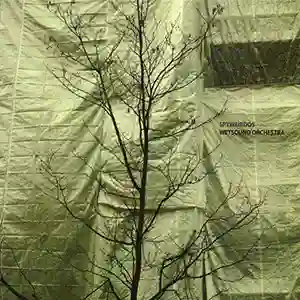 Pochette de l'album "Wetsound Orchestra" par l'artiste Spyweirdos