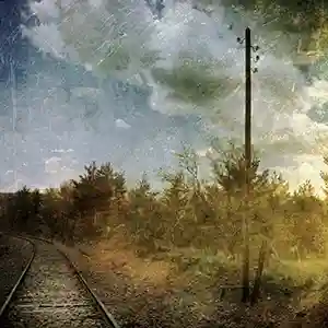 Pochette de l'album "Wabi Experience" par le groupe Wabi Experience