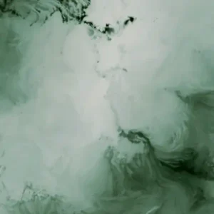 Pochette de l'album "Arborra" par l'artiste Arborra