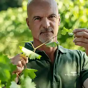 Photo de l'artiste Luca Formentini