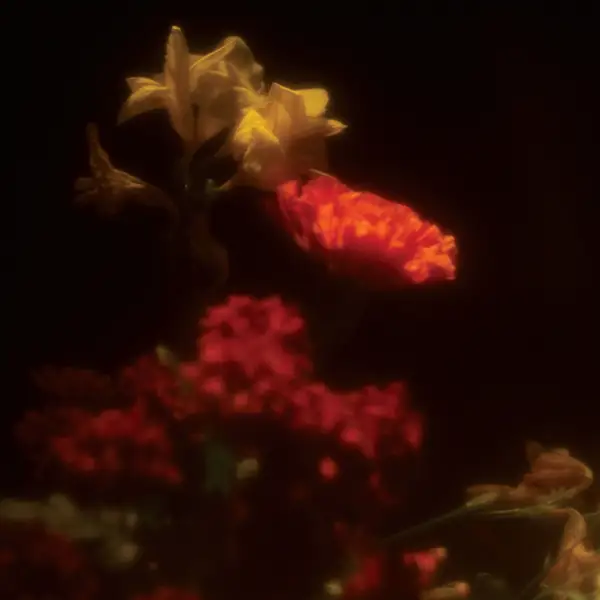 Pochette de l'album "Hypnagogie" par l'artiste belge Grégoire Gerstmans