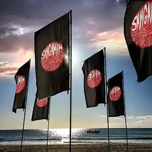 Pochette de l'album "Sangamam" par le groupe Sangamam