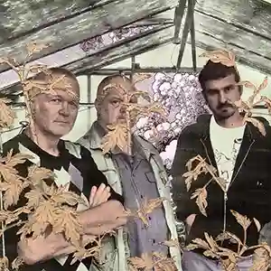 Photo du groupe Sopa Boba avec Pavel Tchikov et G.W. Sok