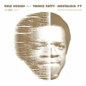 Pochette de l'album "You No Fit Touch Am in Dub" par l'artiste Dele Sosimi
