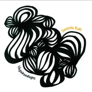 Pochette de l'album "Vagabondages" par le duo Saxicola Rubi (Dirk Vogeler et Laurent Rochelle)