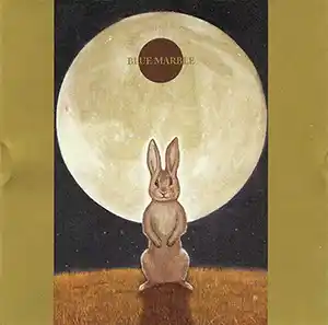 Pochette de l'album "Blue Marble" par l'artriste Aiko Shimada