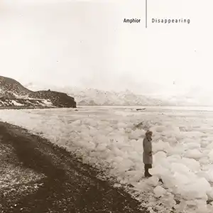 Pochette de l'album "Disappearing" par l'artiste Amphior