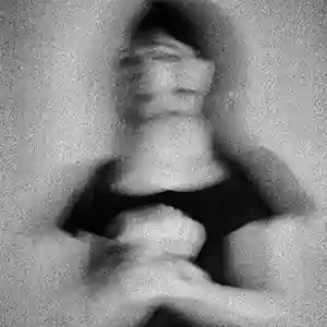 Pochette de l'album "Des Forêts et des Rêves" par l'artiste Cleo T.