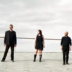 Photo du groupe Missing Waves