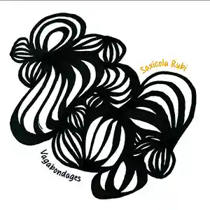 Pochette de l'album "Vagabondages" par le duo Saxicola Rubi (Laurent Rochelle et Dirk Vogeler)