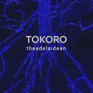 Pochette de l'album "Toroko" par l'artiste TheAdelaidean