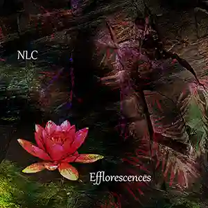 Pochette de l'album "Efflorescences" par NLC (Nouvelles Lectures Cosmopolites)